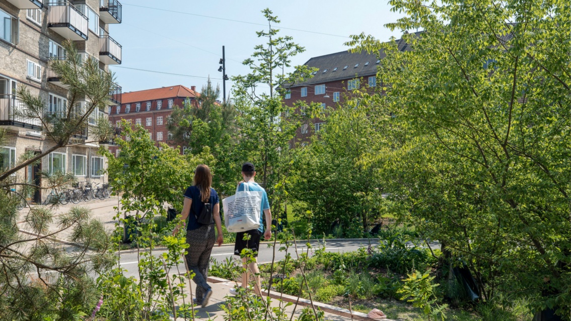 Durch eine sommerliche städtische Grünfläche spazieren ein Mann und eine Frau.