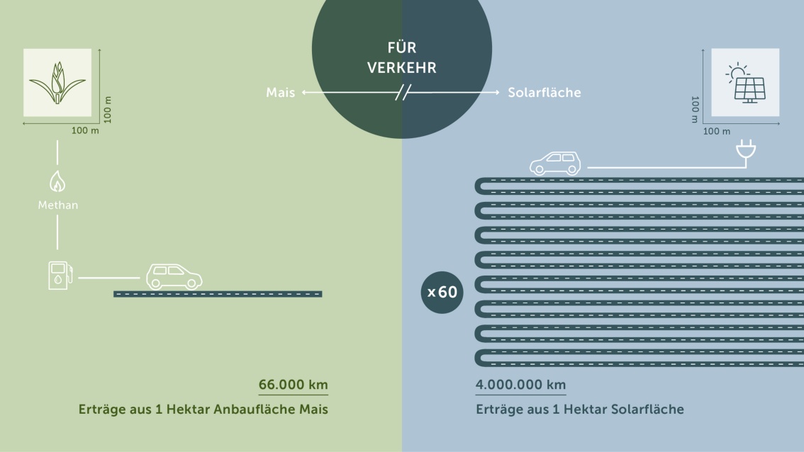  Eine dritte Grafik zeigt, dass Solarflächen 60-mal mehr Energie für Fahrzeuge generieren als Maisfelder.