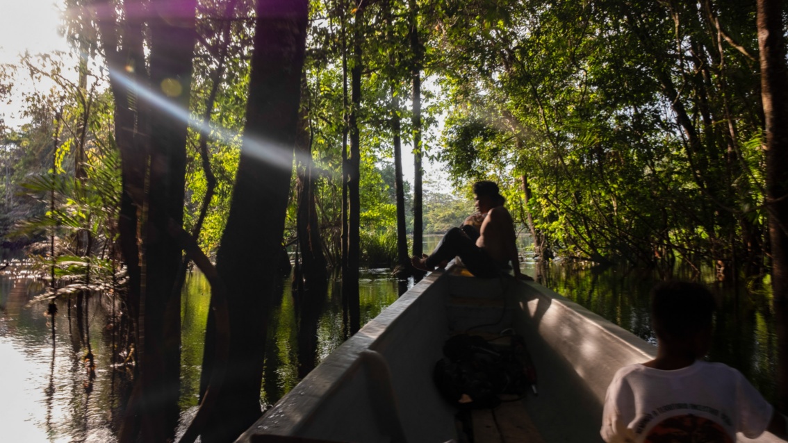  Ein Boot mit mehreren Personen gleitet durch tropischen Feuchtwald – aus dem Wasser ragen mächtige Bäume empor. 