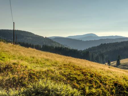 Belchen im Sommer