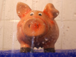 Sparschwein in Dusche