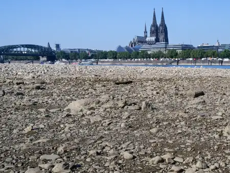 Hinter dem beinahe ausgetrockneten Flussbett des Rheins der Kölner Dom