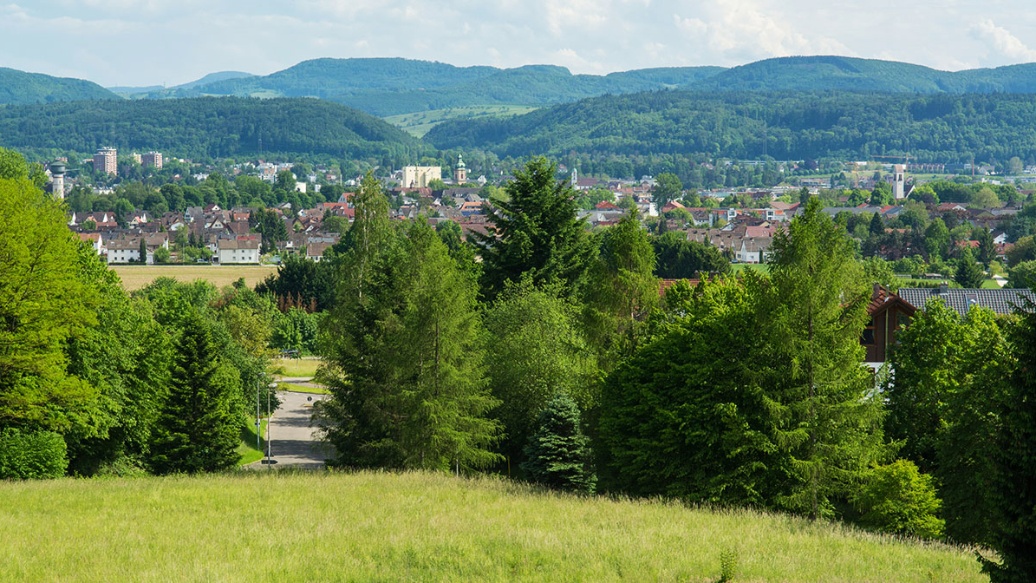 Blick auf die Stadt Rheinfelden