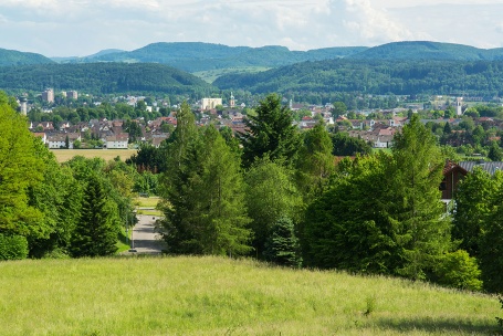 Blick auf die Stadt Rheinfelden