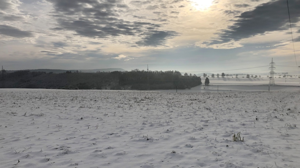 Ein schneebedecktes Feld auf ebenem Gelände, weiter entfernt ein Waldstreifen und Hochspannungsleitungen