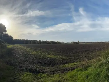 Abendlicher Blick auf ein gepflügtes Feld am Waldrand, die Sonne geht links hinter Bäumen unter.