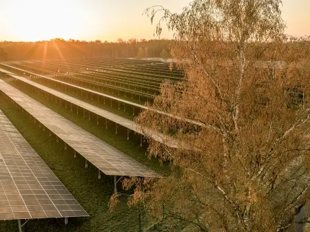Blick von oben auf einen Solarpark, dahinter geht über dem Wald die Sonne auf