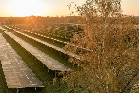 Blick von oben auf einen Solarpark, dahinter geht über dem Wald die Sonne auf