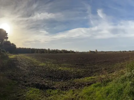 Abendlicher Blick auf ein gepflügtes Feld am Waldrand, die Sonne geht links hinter Bäumen unter.