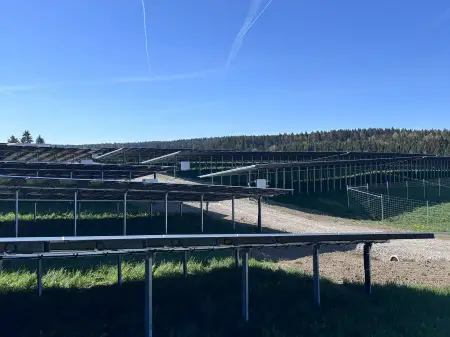 Die Modulreihen eines Solarparks, dazwischen ein Weg