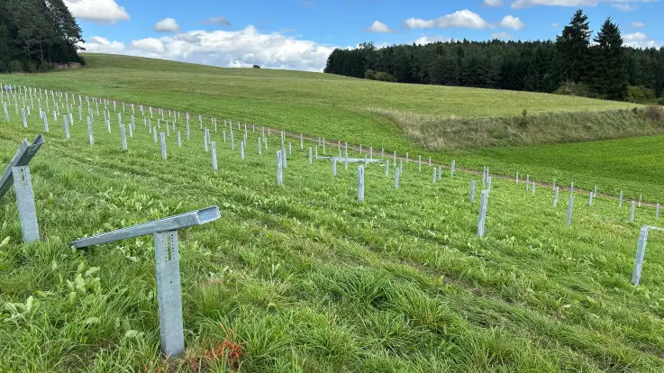 Auf einer sanft geschwungenen Wiese sind Stahlträger in Reihen eingeschlagen, dahinter Wald unnter blauem Himmel.