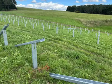 Abendlicher Blick auf ein gepflügtes Feld am Waldrand, die Sonne geht links hinter Bäumen unter.