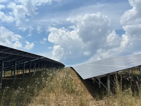 Vor einem wolkigen Himmel sind zwei Reihen PV-Module vor einer sommerlich-trockenen Wiese zu sehen
