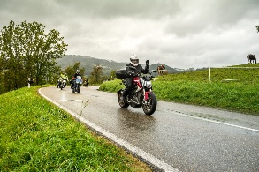 Motorradfahrer biegen um eine Kurve, im Hintergrund ein Pferd auf der Weide