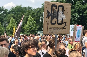 Menschenmenge bei einer Klimademo