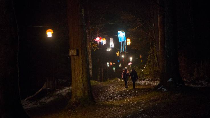 Nächtliche Szenerie im Wald, eine Gruppe von Menschen geht auf einem Pfad unter Lampeninstallationen, die oben zwischen den Bäumen aufgehängt wurden, darunter Besucherinnen und Besucher