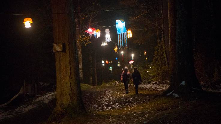 Zwei Frauen spazieren auf einem Waldweg im Dunklen, der von bunten Laternen erleuchtet wird