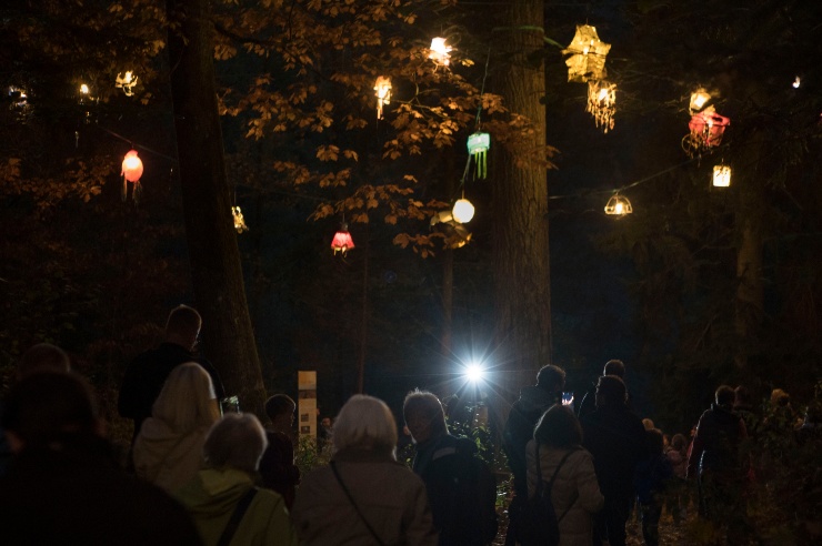 In einer nächtlichen Szenerie im Wald blicken viele Menschen auf Lampeninstallationen, die oben zwischen den Bäumen aufgehängt wurden