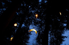Leuchtende Laternen vor Nachthimmel und unter Bäumen
