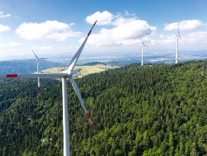 Vier Windkraftanlagen auf einem bewaldeten Berg