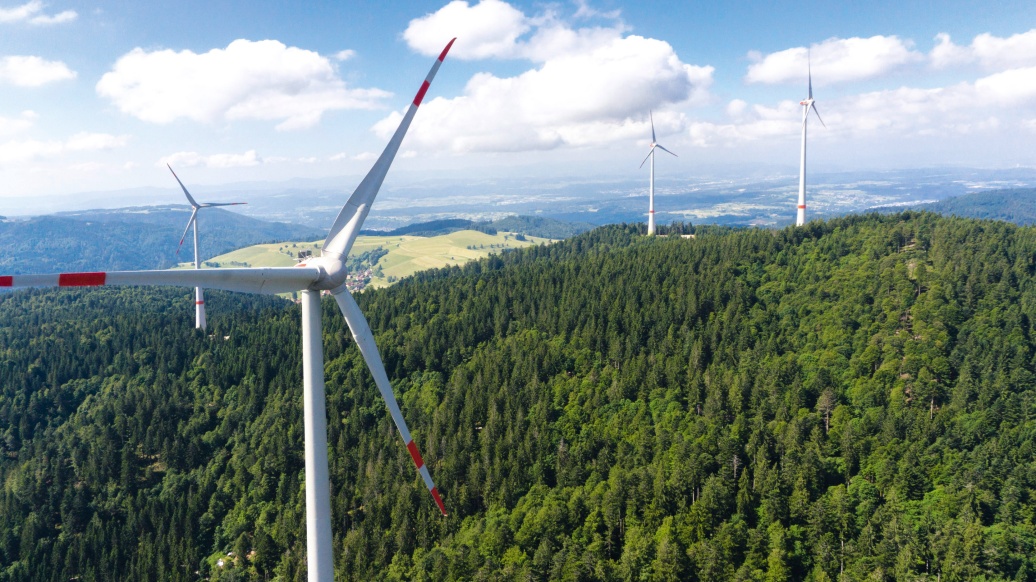 Vier Windkraftanlagen auf einem bewaldeten Berg