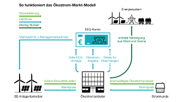 Infografik «So funktioniert das Ökostrom-Markt-Modell»