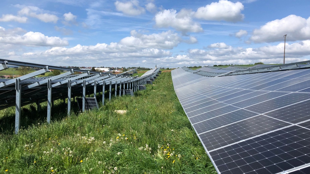 Blühende Blumenwiese zwischen zwei langen Reihen von PV-Modulen