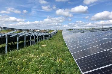 Blühende Blumenwiese zwischen zwei langen Reihen von PV-Modulen