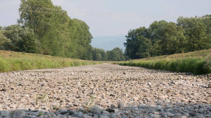Trockengefallenes Flussbett