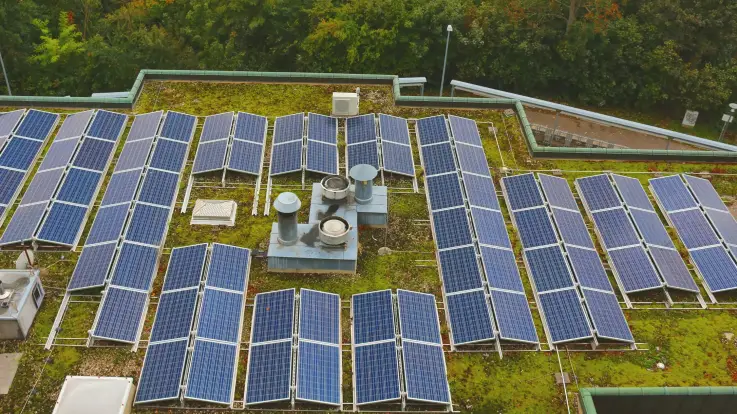 Begrüntes Dach mit Photovoltaikanlagen