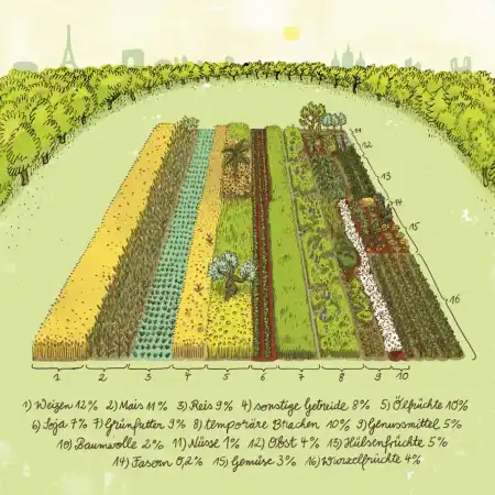 Illustration: Eine aufgeteilte Ackerfläche, die mit verschiedensten Feldfrüchten bebaut ist, dazu eine Legende, die die prozentuale Aufteilung beschreibt: Weizen 13%, Mais 12%, Reis 10%, sonstige Getreide 9%, Ölsaaten 11%, Soja 8%, Grünfutter 9%, Genussmittel 7%, Baumwolle 2%, Nüsse 1%, Obst 4% Hülsenfrüchte 6%, Fasern 2%, Gemüse 4%, Erdfrüchte 4%