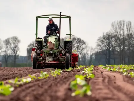 Ein Landwirt fährt mit einem Traktor über einen Acker, im Vordergrund Pflanzenreihen.