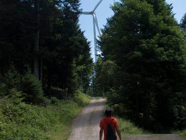 Ein Weg führt zu einem Windrad, darauf wandert ein einzelner Mann, der von hinten zu sehen ist