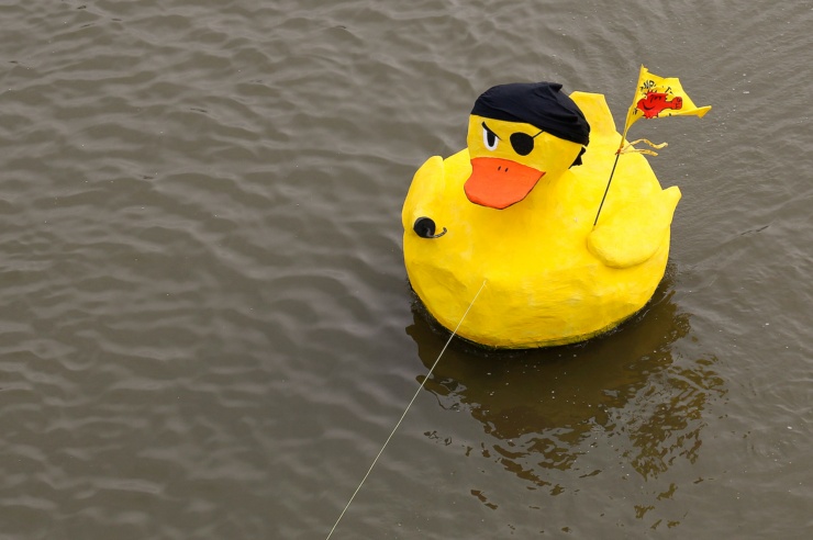 Eine Piratenente mit Augenklappe und Anti-Atom-Fähnchen schwimmt auf dem Wasser.