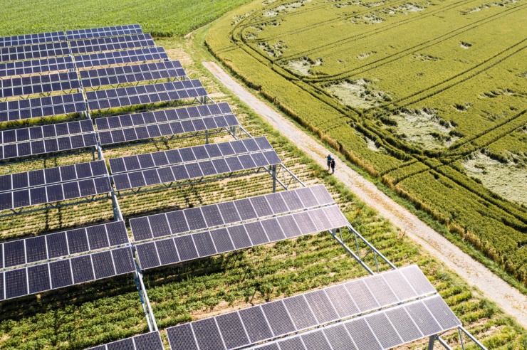 Ein Feld, darauf eine PV-Anlage, und ein Weg auf dem zwei Personen stehen.