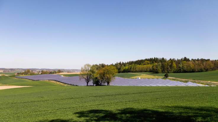 In einer weiten sommerlichen Landschaft liegt eingebettet auf einer Wiese ein Feld aus PV-Modulen.