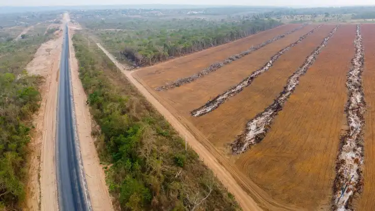 Aus der Vogelperspektive: rechts neben einer asphaltierten Straße wurden weite Flächen gerodet, zurück bleibt nur der rote Boden. 