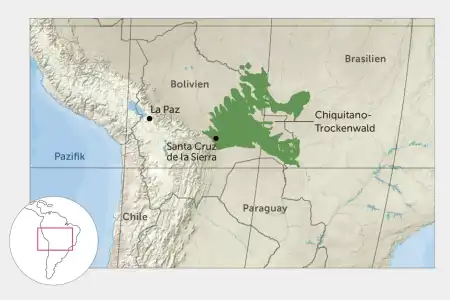 Eine Karte zeigt das Zentrum von Südamerika: der Trockenwald zwischen Bolivien, Paraguay und Brasilien ist grün markiert. 
