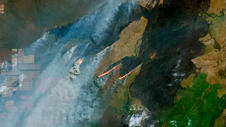 Eine Satellitenaufnahme zeigt großflächige Brände, die sich durch Waldgebiete wälzen und eine verkohlte Landschaft hinterlassen. 