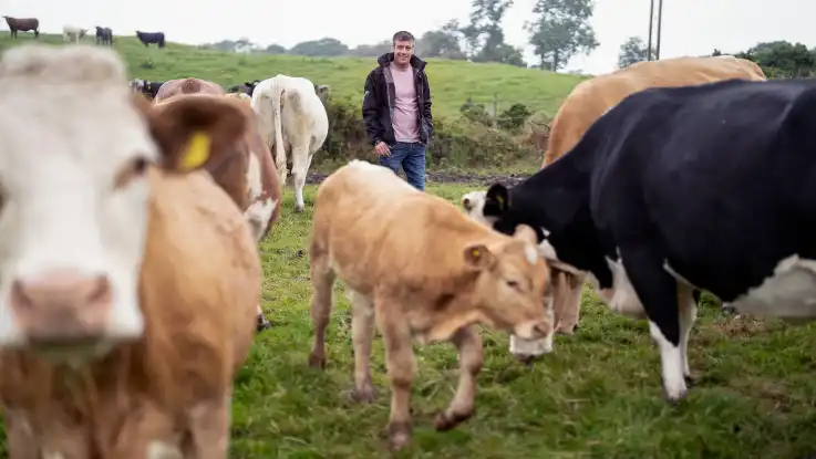 Ein Mann mit rosa T-Shirt und schwarzer Jacke steht lächelnd auf einer Weide, er ist umzingelt von Kühen. 