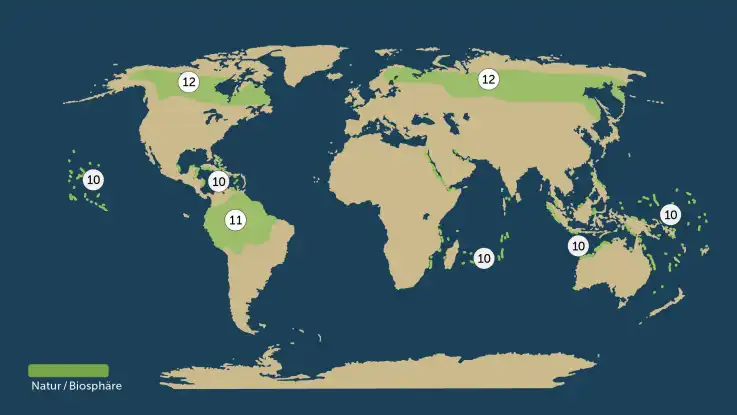 Eine letzte Weltkarte zeigt einige große bewaldete Regionen und zahlreiche Korallenriffe. 
