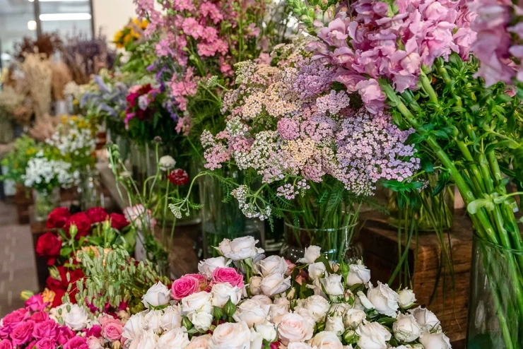 Ein großes Angebot an Schnittblumen steht in Gläsern und Vasen in einem Blumenladen. 
