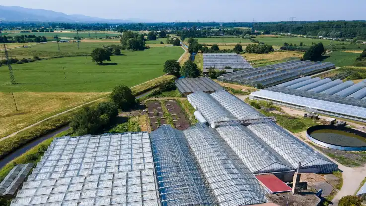Ein Luftbild zeigt Gewächshäuser in einer grünen Landschaft, in dessen Hintergrund sich kleine Berge erheben.