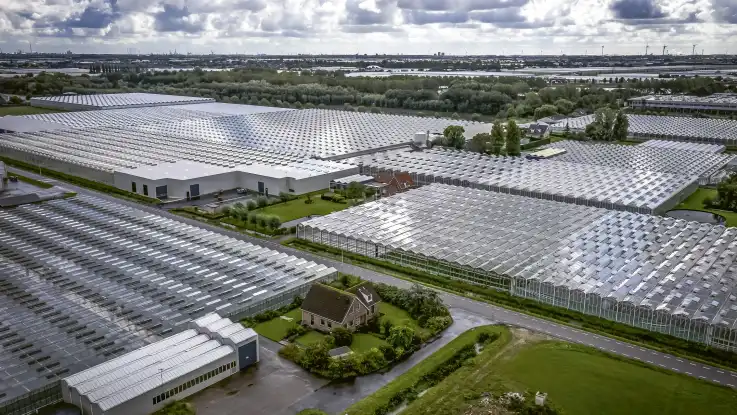 Aus der Vogelperspektive: die Dächer großflächiger Glashallen reflektieren monoton den grauen Himmel – dazwischen stehen verloren einige Wohnhäuser.