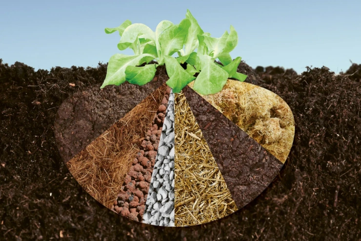 Eine Grafik zeigt die unterschiedlichen Bestandteile von Pflanzenerde.