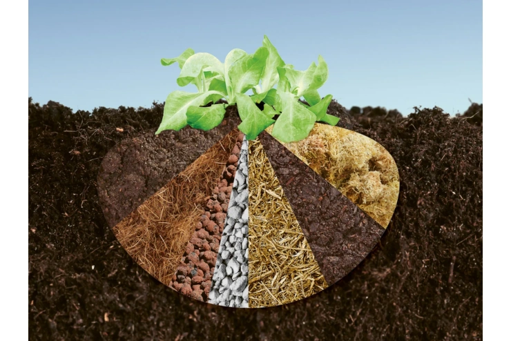 Eine Grafik zeigt die unterschiedlichen Bestandteile von Pflanzenerde.