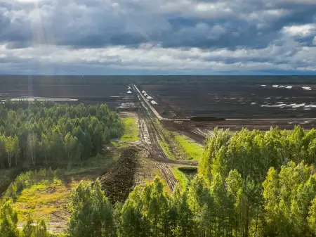 Aus der Vogelperspektive: Hinter einem Wald öffnet sich eine breite Schneise ohne Oberboden und Vegetation. 
