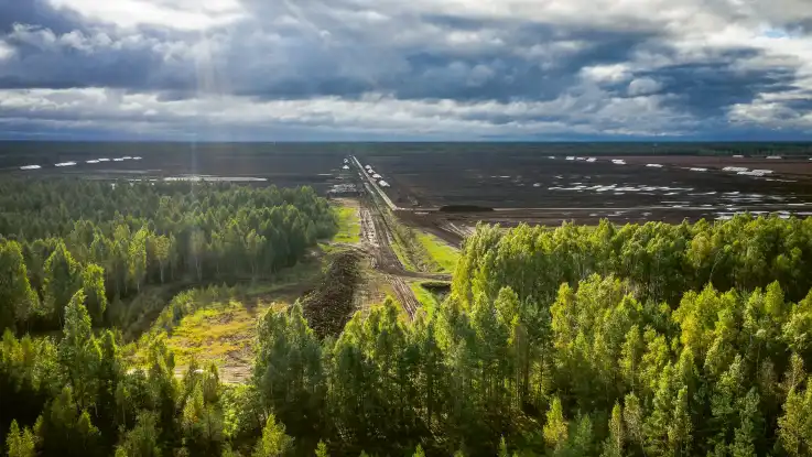 Aus der Vogelperspektive: Hinter einem Wald öffnet sich eine breite Schneise ohne Oberboden und Vegetation. 