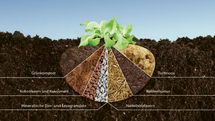 Eine Grafik zeigt die unterschiedlichen Bestandteile von Pflanzenerde.