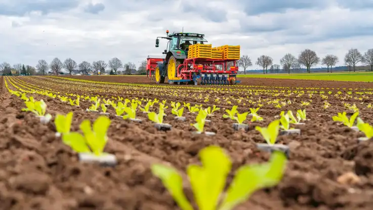 Ein Traktor mit einer speziellen Vorrichtung zum Pflanzen von Setzlingen rollt über ein Feld.